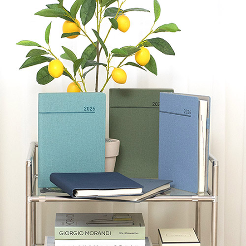 AP3 ������ ���̾ 25��  ��ī�̺���