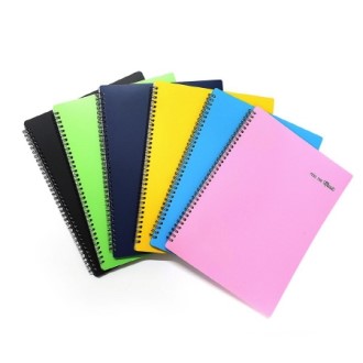 A4 PP 20�� ������ �Ǻ� ���� ������