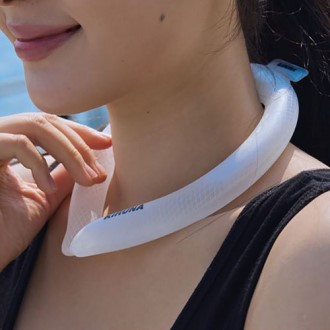 ���̽ÿ��� �Ϲ��� �����̾� ���� PCM�ø� ���̽��ع�� �ý�ī��