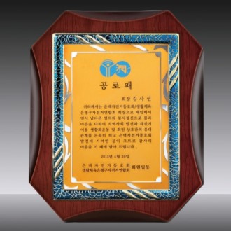 �������  SD14ȣ 255-11��