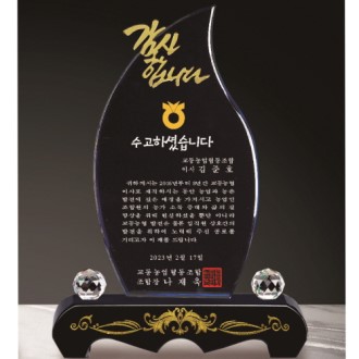 �ݹ��� ũ����Ż ����33