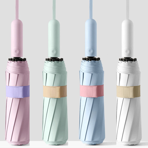 3�� ���ڵ� �Ľ��� ����-����Ʈ